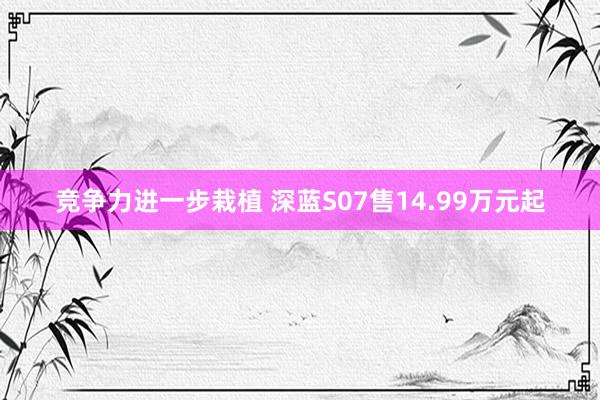 竞争力进一步栽植 深蓝S07售14.99万元起