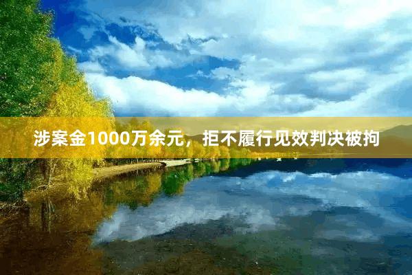 涉案金1000万余元，拒不履行见效判决被拘