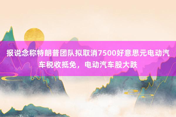 报说念称特朗普团队拟取消7500好意思元电动汽车税收抵免，电动汽车股大跌